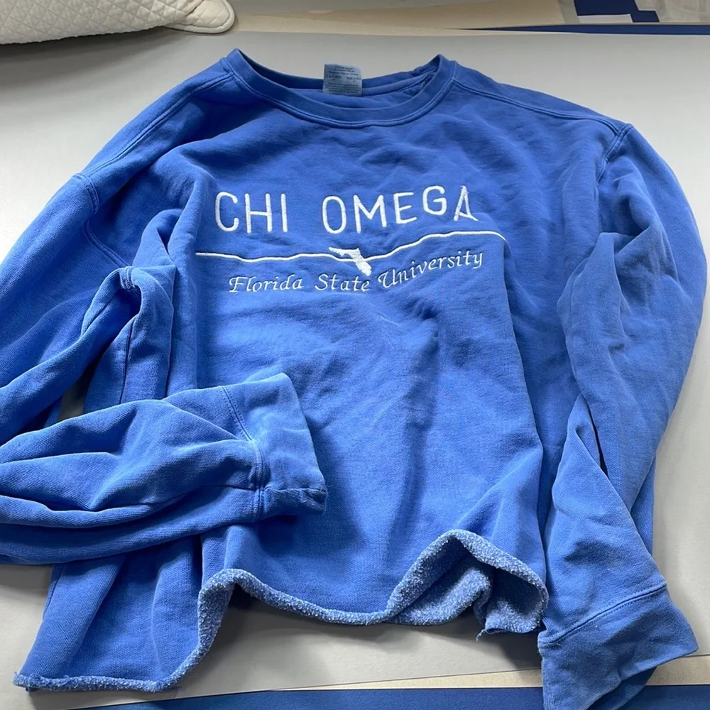 Chi Omega Sweatshirt - Picture 1 of 3
